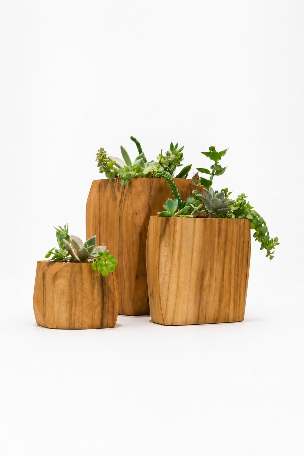 Vasos Geométricos